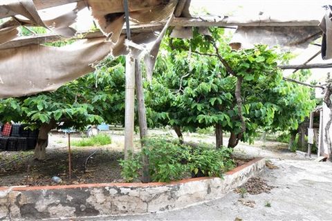 Finca i Motril, Granada, Motril - € 268.000 | Ref: 246 - foto 12